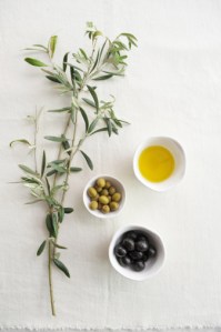 olive oil:olives